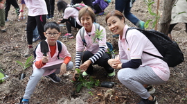 Around 60 Housing Society Green Ambassadors joined other corporate volunteers to plant 6,000 tree seedlings, demonstrating concerted efforts in building a sustainable and greener city.